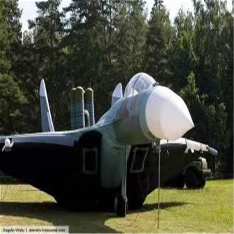 龙岩充气模型飞机制造商家